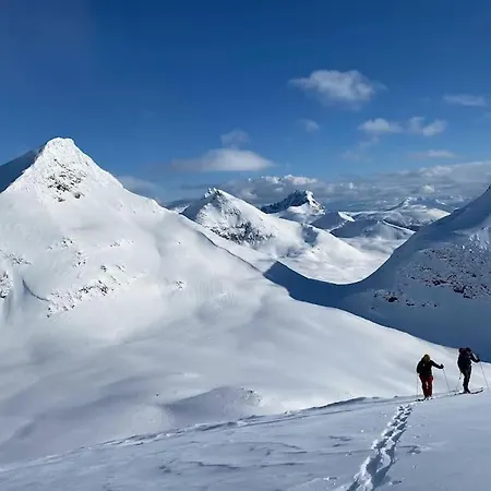 Fantastic With Fjellheisen As Your Nearest Neighbor *